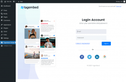 Page screenshot: Tagembed Widget