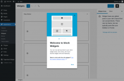Page screenshot: Widgets ‹ Test site — WordPress