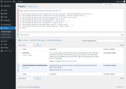Page screenshot: Plugins ‹ Test site — WordPress