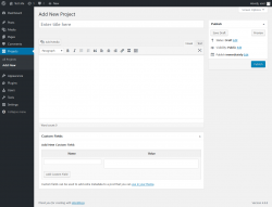 Page screenshot: Projects → Add New
