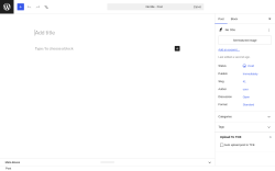 Page screenshot: Add Post &lsaquo; Test site &mdash; WordPress
