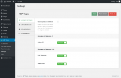 Page screenshot: WP Team → Settings