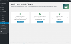 Page screenshot: WP Team → Help