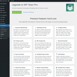 Page screenshot: WP Team → Premium