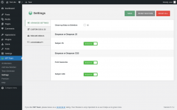 Page screenshot: WP Team → Settings