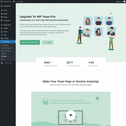 Page screenshot: WP Team → Premium