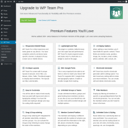 Page screenshot: WP Team → Premium
