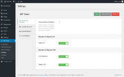 Page screenshot: WP Team → Settings