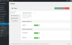 Page screenshot: WP Team → Settings