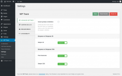 Page screenshot: WP Team → Settings