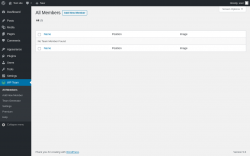 Page screenshot: WP Team