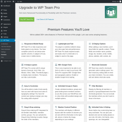 Page screenshot: WP Team → Premium