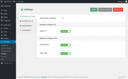 Page screenshot: WP Team → Settings