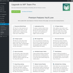 Page screenshot: WP Team → Premium