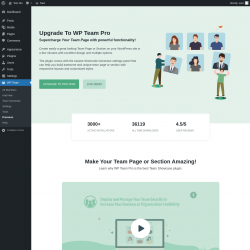 Page screenshot: WP Team → Premium