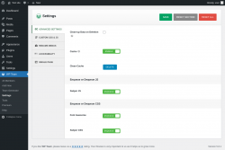 Page screenshot: WP Team → Settings
