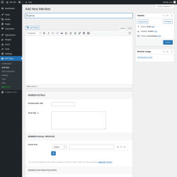 Page screenshot: WP Team → Add New