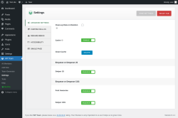 Page screenshot: WP Team → Settings