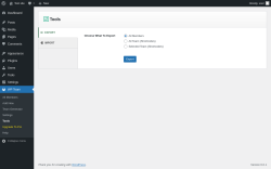 Page screenshot: WP Team → Tools