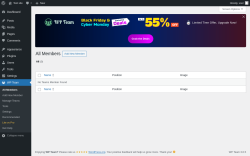 Page screenshot: WP Team