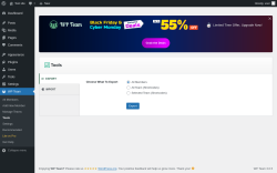 Page screenshot: WP Team → Tools