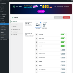 Page screenshot: WP Team → Settings