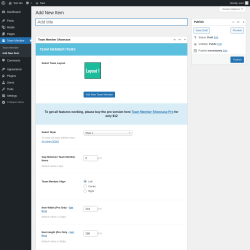 Page screenshot: Team Member → Add New Item