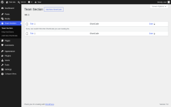 Page screenshot: Team Section