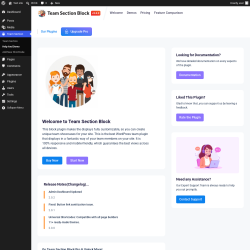 Page screenshot: Team Section &rarr; Help And Demo