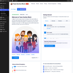 Page screenshot: Team Section &rarr; Help And Demo