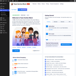Page screenshot: Team Section &rarr; Help And Demo