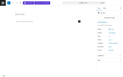 Page screenshot: Add Post ‹ Test site — WordPress