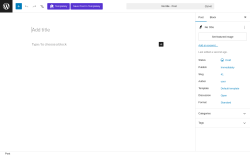 Page screenshot: Add Post &lsaquo; Test site &mdash; WordPress