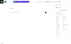 Page screenshot: Add Post &lsaquo; Test site &mdash; WordPress