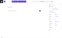 Page screenshot: Add Post &lsaquo; Test site &mdash; WordPress