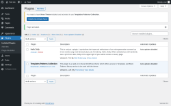 Page screenshot: Plugins &lsaquo; Test site &mdash; WordPress