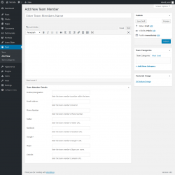 Page screenshot: Team → Add New