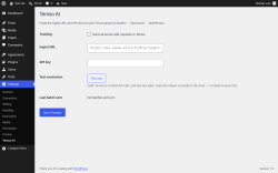 Page screenshot: Settings &rarr; Temso AI