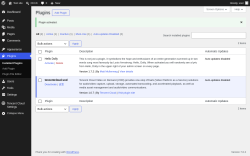 Page screenshot: Plugins &lsaquo; Test site &mdash; WordPress