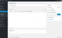 Page screenshot: Testimonials &rarr; Add New