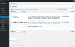 Page screenshot: Plugins &lsaquo; Test site &mdash; WordPress