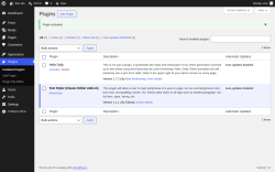 Page screenshot: Plugins &lsaquo; Test site &mdash; WordPress