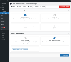 Page screenshot: Text to Speech → Advanced