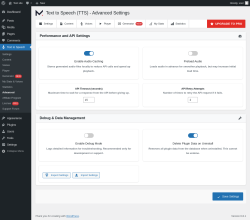 Page screenshot: Text to Speech → Advanced