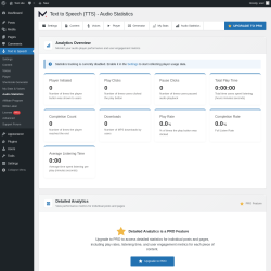 Page screenshot: Text to Speech &rarr; Audio Statistics