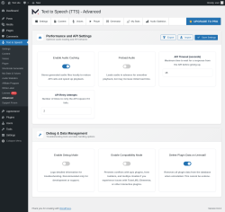 Page screenshot: Text to Speech &rarr; Advanced