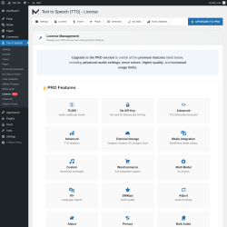 Page screenshot: Text to Speech &rarr; License 