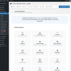 Page screenshot: Text to Speech &rarr; License 