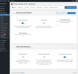 Page screenshot: Text to Speech &rarr; Advanced