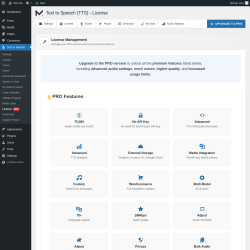 Page screenshot: Text to Speech &rarr; License 